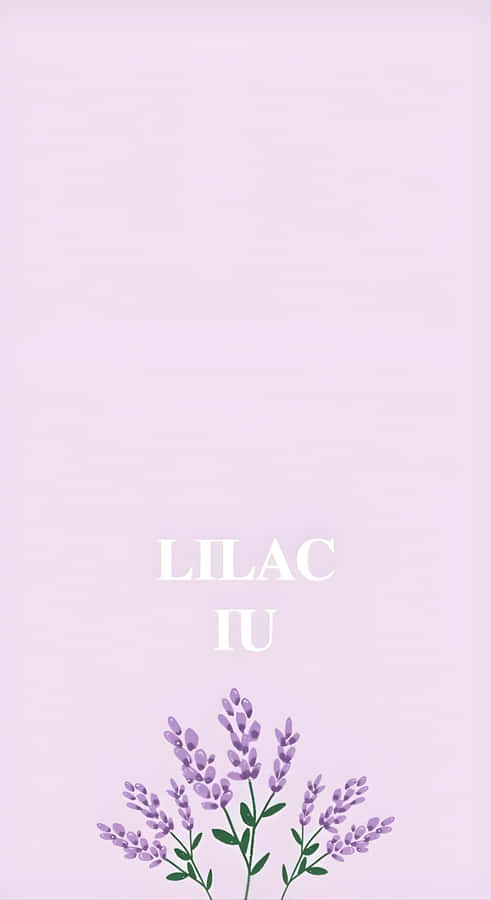 Minimalist Kpop Lilac Theme Wallpaper
