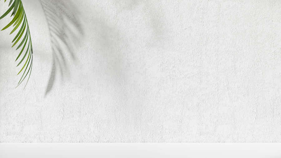 Minimalist Palm Leaf Shadow Wallpaper