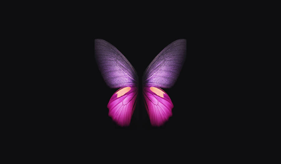 Minimalist Purple Butterfly Phone Background Wallpaper