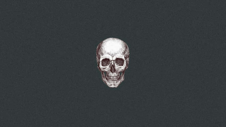 Minimalist_ Skull_ Illustration_ Gray_ Background.jpg Wallpaper