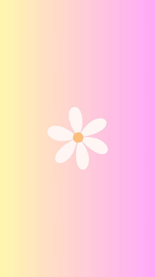 Minimalist Spring Daisy Gradient Background Wallpaper