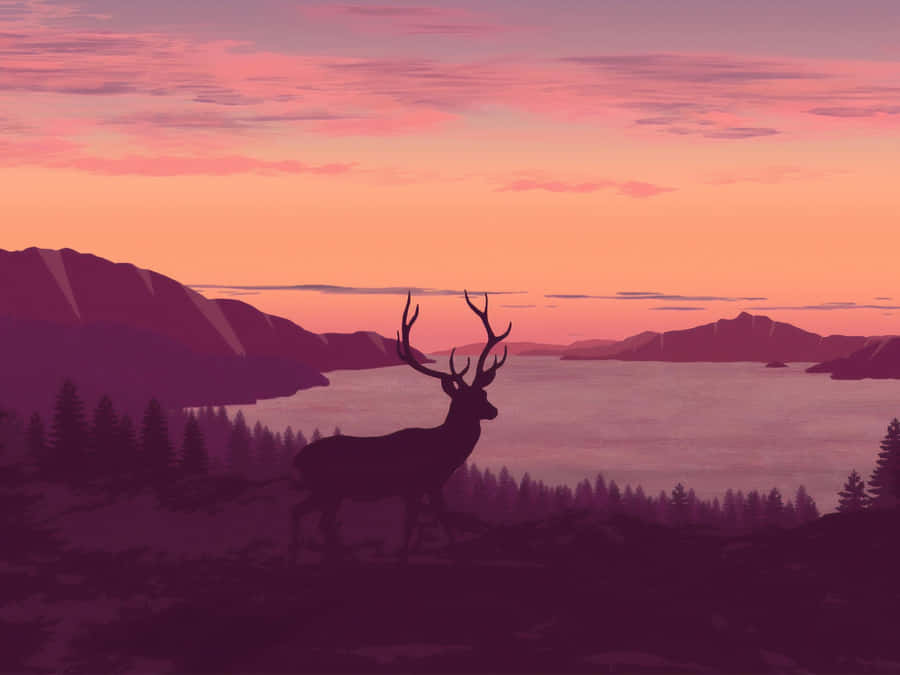 Minimalist Sunset Beauty Wallpaper