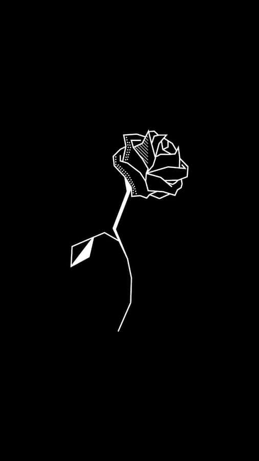 Minimalist White Roseon Black Background Wallpaper