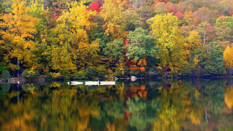 Mirror-like Teams Background Wallpaper