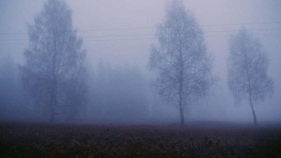 Misty Forest Silhouette_ Horror Aesthetic.jpg Wallpaper