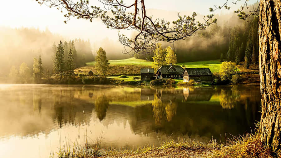 Misty Lakeside Countryside Wallpaper