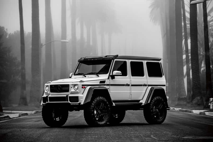 Misty Road G Wagon Showcase Wallpaper