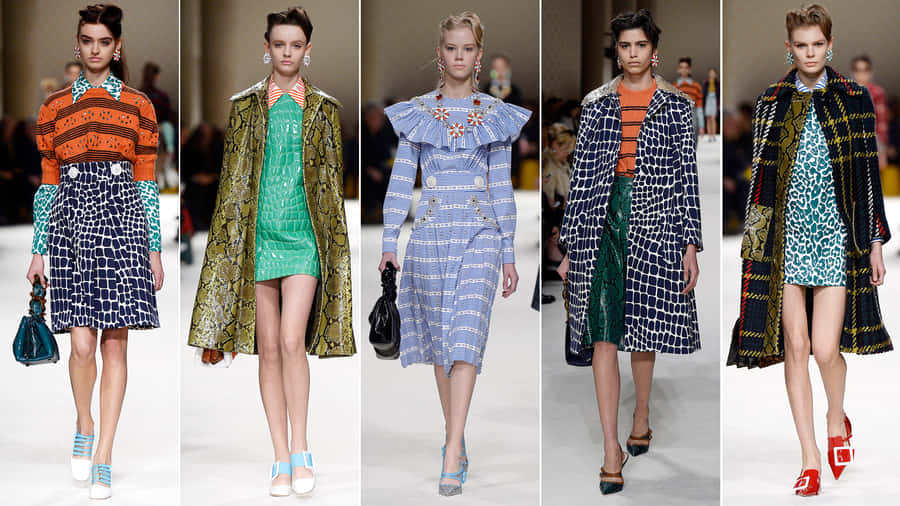 Miu Miu 2015 Fall Collection Wallpaper