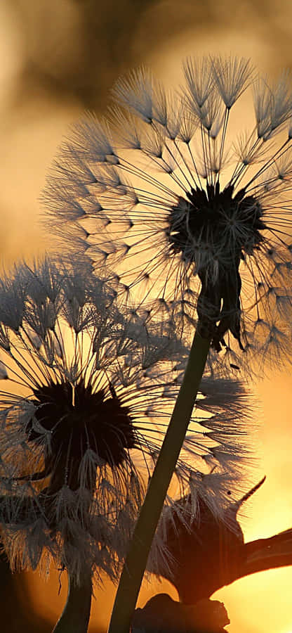 Modern Cityscape At Twilight Wallpaper
