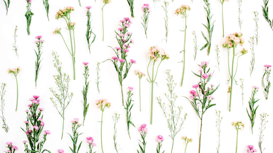 Modern Floral Pattern Design Wallpaper