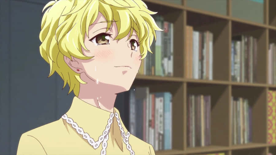 Momiji Sohma Anime Portrait Wallpaper