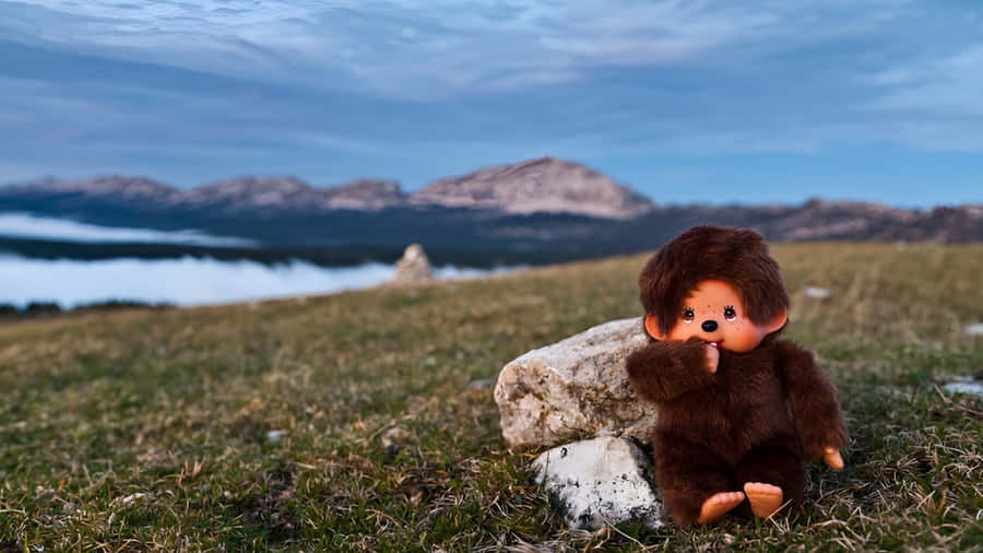 Monchhichi Doll Outdoors Wallpaper