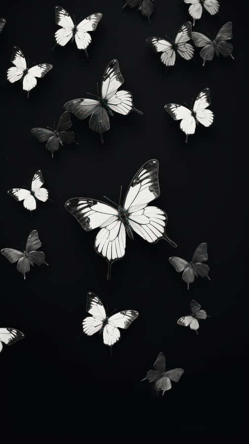 Monochrome Butterfly Flight Wallpaper