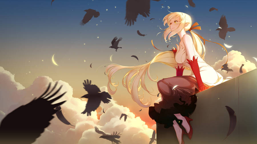 Monogatari Shinobu Oshino Birds Wallpaper