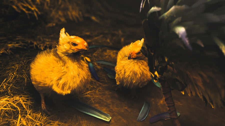 Monster Hunter Wilds Baby Fanged Beasts Wallpaper