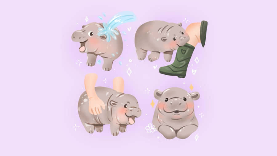 Moo Deng Hippo Care Wallpaper