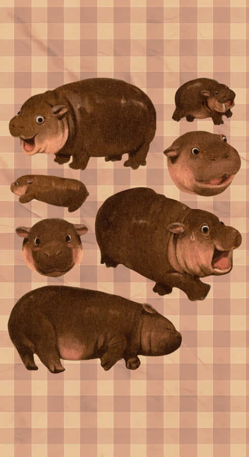 Moo Deng Hippo Characters Wallpaper