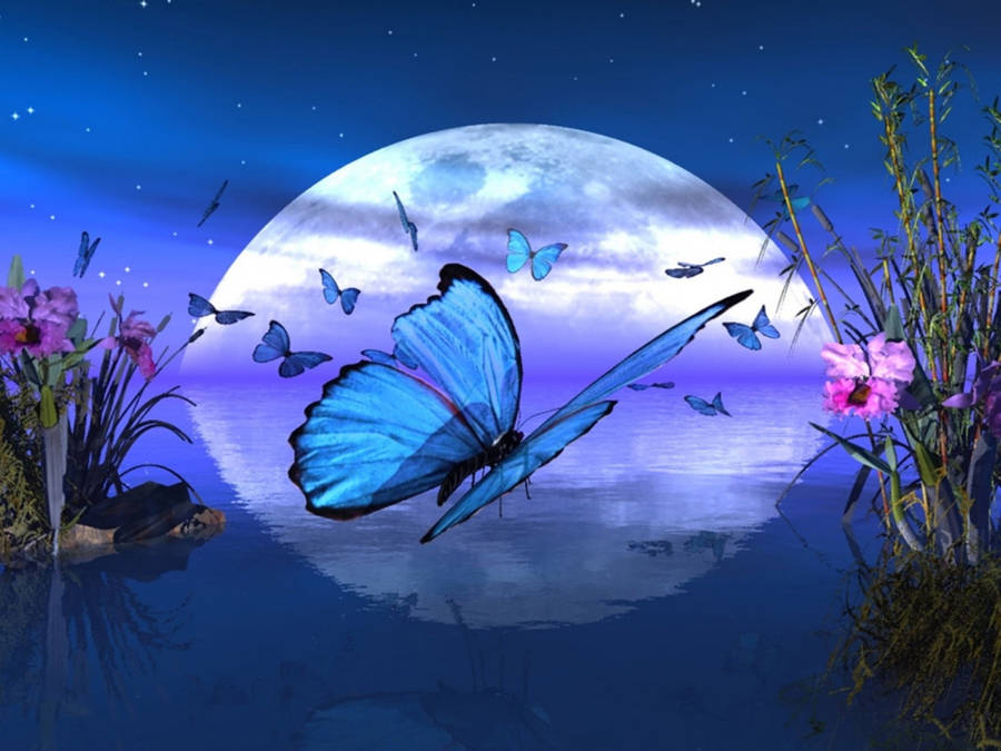 Moon Night Butterfly Wallpaper