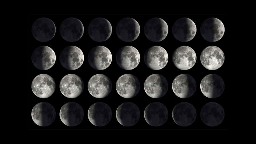 Moon Phase Wallpaper