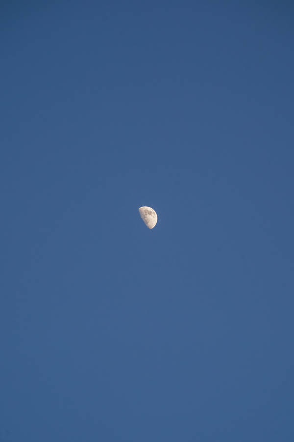 Moon Simple Phone Wallpaper