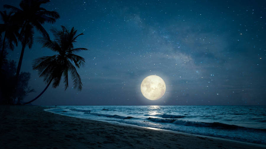 Moonlight Beach Night View Wallpaper