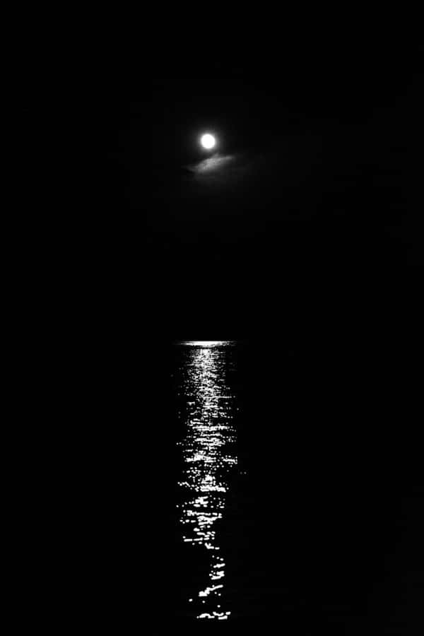 Moonlit_ Night_ Reflection Wallpaper