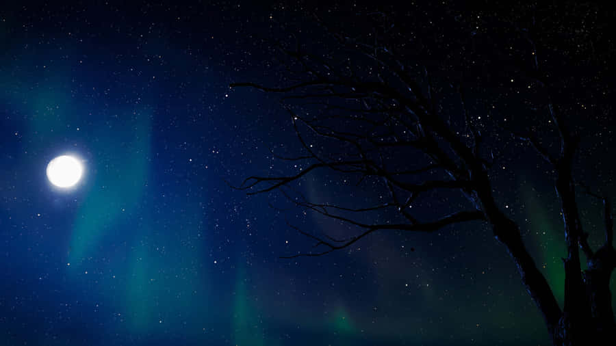 Moonlit_ Night_with_ Aurora_and_ Stars.jpg Wallpaper