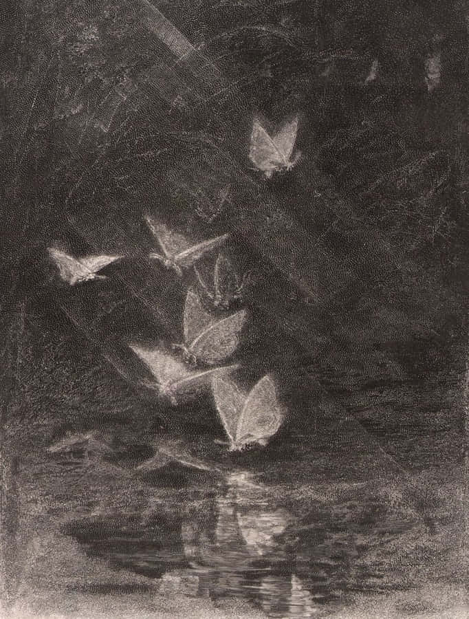 Moths_in_ Shadowy_ Nature Wallpaper