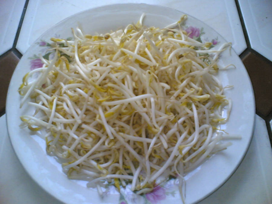 Mung Bean Sprouts Vegetable On Small Plate Wallpaper