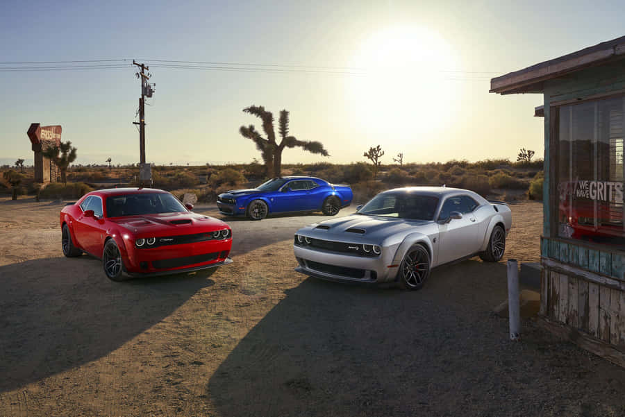 Muscle_ Cars_ Desert_ Sunset Wallpaper