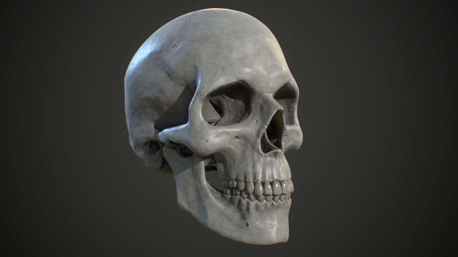 Mysterious 3d Skull On Dark Background Wallpaper