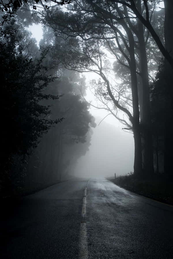 Mysterious Dark Road At Night Wallpaper