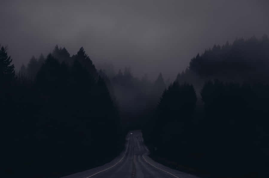 Mysterious Dark Road In A Moonlit Forest Wallpaper