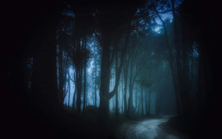 Mysterious Dark Road In Moonlit Forest Wallpaper