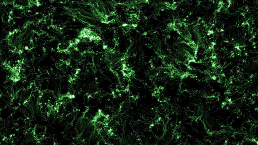 Mysterious Fluidity Of Dark Abstract Art Wallpaper