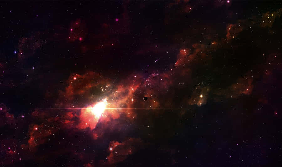 Mysterious Foggy Forest Path Wallpaper