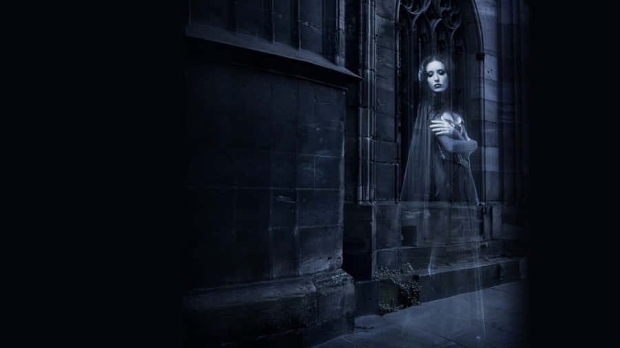 Mysterious Full Moon Night In A Forest Wallpaper