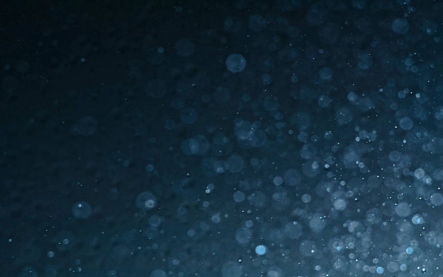 Mysterious Portal In Dark Forest Wallpaper