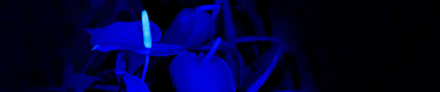 Mysterious Ship In A Deep Ocean Wallpaper