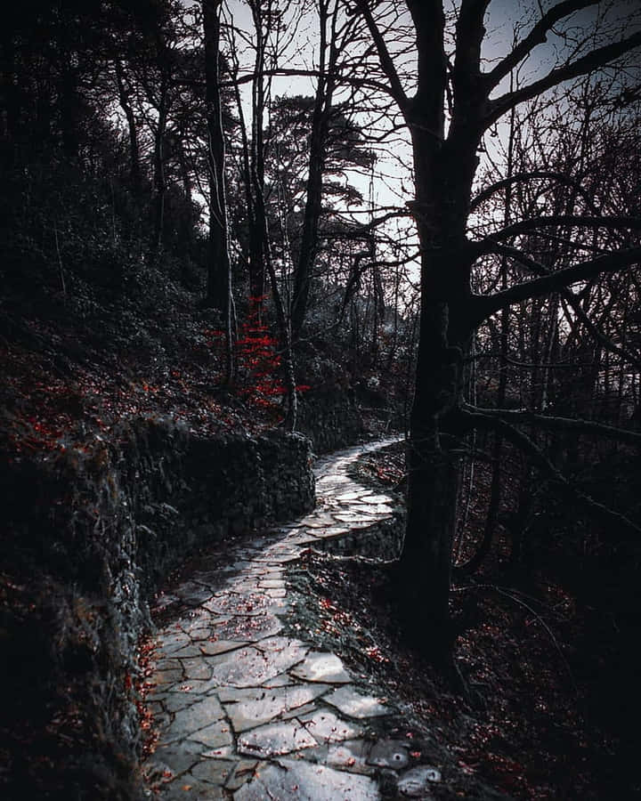 Mystic Forest Path Dark Fall Aesthetic Wallpaper