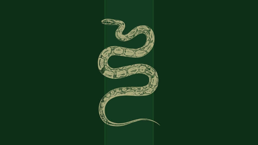Nagini Serpent Illustration Harry Potter Wallpaper