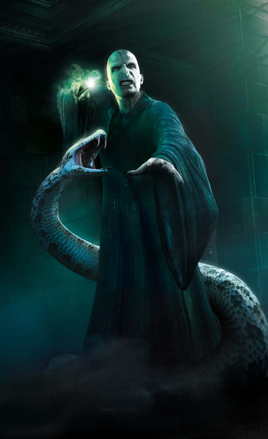 Nagini, The Loyal Serpent Of Lord Voldemort In Harry Potter Wallpaper