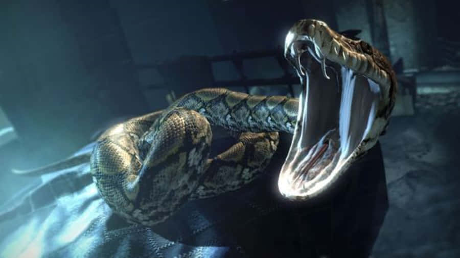 Nagini, Voldemort's Enigmatic Snake Companion In Harry Potter Wallpaper