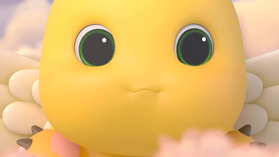 Nailoong Close Up Face Wallpaper