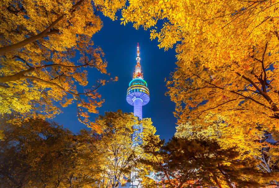 Namsan Seoul Tower Autumn Night Wallpaper