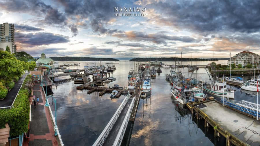 Nanaimo Harbour City Dawn Wallpaper