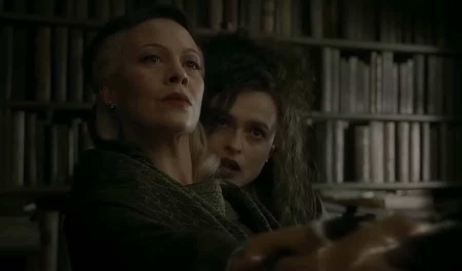 Narcissaand Bellatrix Library Scene Wallpaper