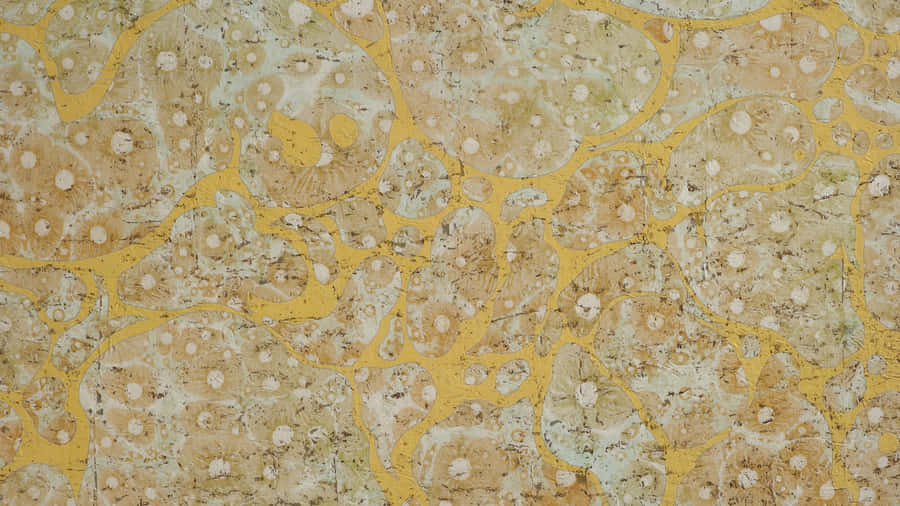 Natural Cork Texture Closeup Wallpaper