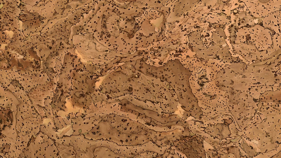 Natural Cork Texture Closeup Wallpaper
