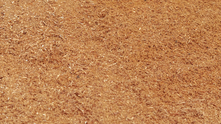 Natural Cork Texture Wallpaper